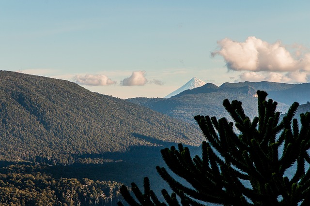 #NoticiasECOS I Participación en Congreso Internacional de Geografía 2019