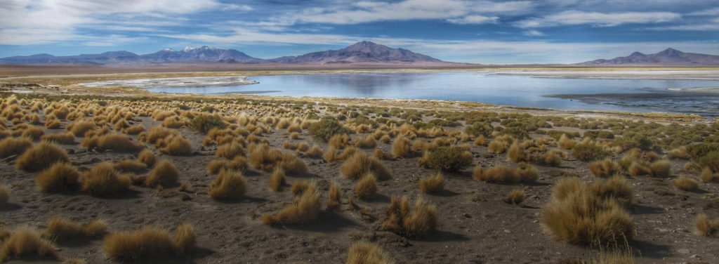 Desafíos del seguimiento ambiental para la minería