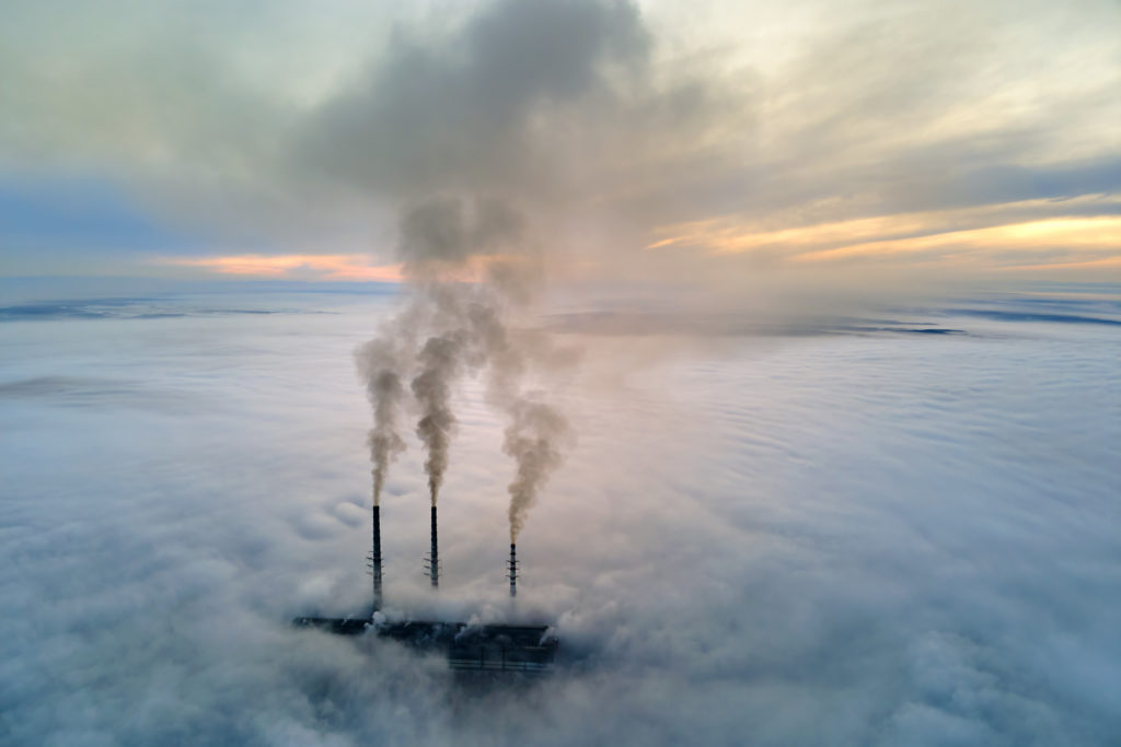 ECOS Informa I Promulgación de la ley que sistematiza los delitos económicos y atentados contra el medio ambiente