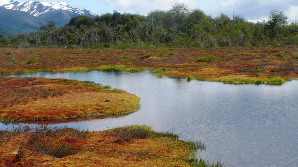 Ley de Protección Ambiental de Turberas