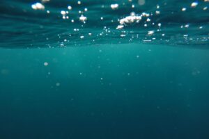 Lago Villarrica: el primer Plan de Descontaminación para un cuerpo de agua en Chile