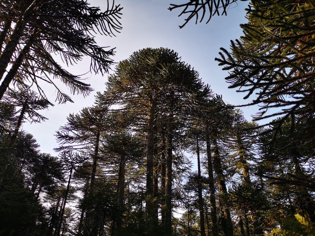 Asesoría en Gestión Ambiental Empresarial