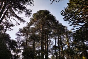 Asesoría en Gestión Ambiental Empresarial